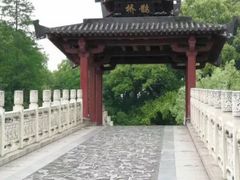 -东湖落雁景区