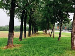 -汉长安城未央宫国家考古遗址公园