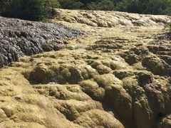 -黄龙山原始森林景区
