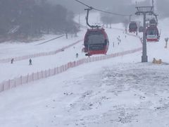 -中旅松花湖滑雪场