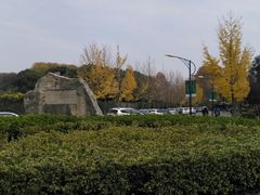 -南京林业大学-图书馆