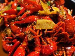 精品潜江油焖小龙虾-小田油焖小龙虾(双井店)