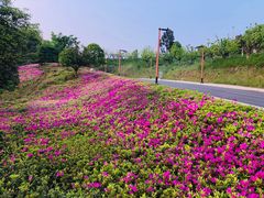 -天河潭旅游度假区