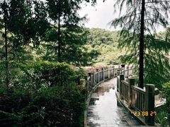 -大屏嶂森林公园