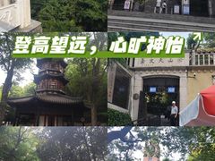 -上海佘山国家森林公园西佘山园