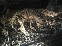 -世界恐龙谷景区