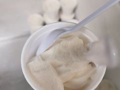 椰子雪糕-洪馨椰子