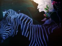 -中海环宇荟