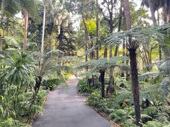 -墨尔本皇家植物园