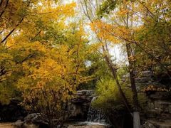 -北京园博大酒店