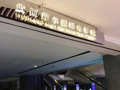 -武商摩尔影城(国广IMAX激光店)