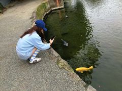 -水前寺成趣园