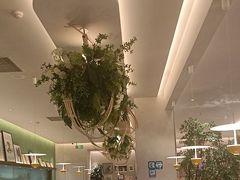 -Aqua Oasis 水天堂(太湖中心mall店)