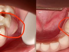 -兔博士口腔(高新一路门诊部)