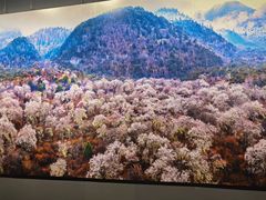 -罗红摄影艺术馆