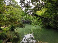-张鸟园农家乐(张鸟园店)