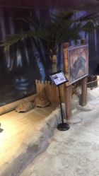 -酷嗒动物文化乐园(cutezoo西溪乐天城店)