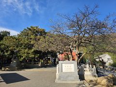 -潭柘寺景区