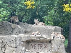 -常州淹城野生动物世界