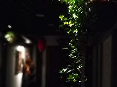 -南窖乡水峪村山情农家