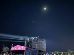 -春花秋色城市公园