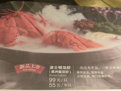 -湊湊火锅·茶憩(新中关购物中心店)