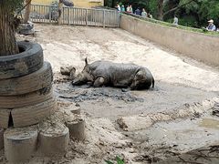 -西安秦岭野生动物园