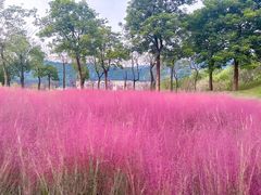 -牛岗山公园