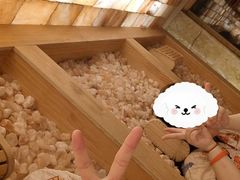 -碧水豪园·足浴·SPA·汗蒸·那须汤泉(中山东路店)