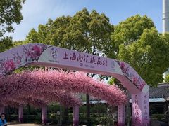 -南汇桃花村