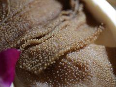 -雾都渣渣火锅(南城智汇城店)