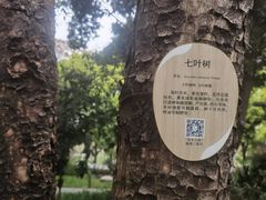-成都市活水公园