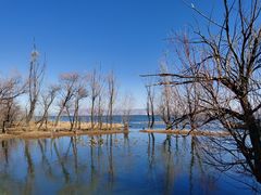 -洱海月湿地公园