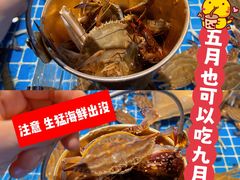 -九月海·海鲜自助(世纪东方店)