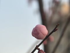 -七桥瓮公园