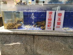 水产区-乔家小院•本地小海鲜•非遗驴肉(万年泉路店)