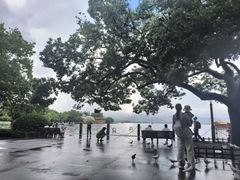 -南方迷宗大包(湖滨店)