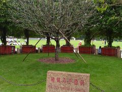 -点心传说·粤菜点心(佐阾虹湾店)