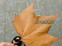 -蠡湖中央公园