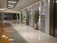 -喜鼎海胆水饺(平安金融中心店)