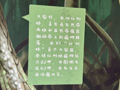 -东寨港红树林旅游区