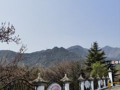 -北京鹫峰国家森林公园