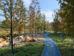 -梁鸿国家湿地公园