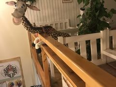 -长颈鹿咖啡(大学路店)