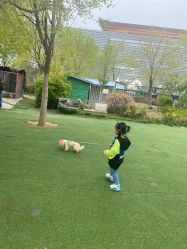 -萌宠亲子动物乐园(槐房万达店)