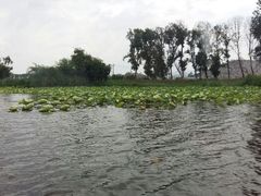 android_upload_pic-五甲塘生态湿地公园