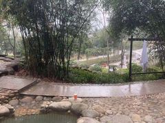 -三江森林温泉度假区