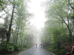 -岳麓山风景名胜区