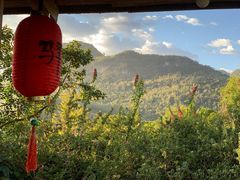 -天门沟九州驿站树上汤泉