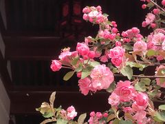 -陶然亭公园